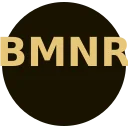 BitMine Immersion Technologies